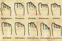 Your-Foot-Shape-and-Your-Genealogy-chart