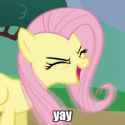 177211__safe_fluttershy_eyes+closed_female_flutteryay_image+macro_impact+font_mare_pegasus_pony_reaction+image_yay