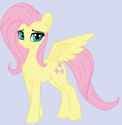 fluttershylooking