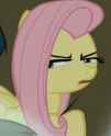 6fcd889e64538c50812d6ed1e738dfd7