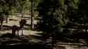 I_love_Nature_1080p