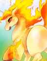 Hotdoggee11 -- Wild Rapidash.card