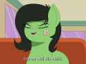 The filly is doing an interview