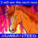 HorseRaceTestsWinner