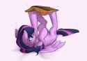 bookhorsereadsbook
