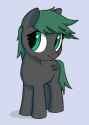 NHNB_Pony