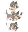 Cat says no to you not paying attention to it
