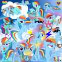 dashie_my_beloved