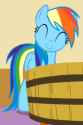 Content Dash