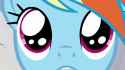 dashie sparkly eyes