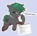 NHNB mare
