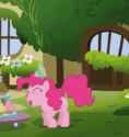 ponk_birthdaybounce