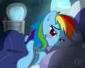 dashie sleep together