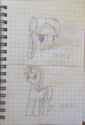 image (3)
