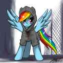 Rainbow.Dash.1024.521918