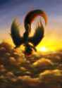 Dash flying in the clouds at sunset
