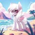 shikaka on the beach