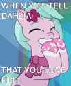 Happy precious mare