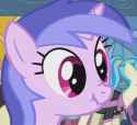 scrunch