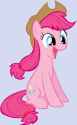 Applepie-my-little-pony-friendship-is-magic-27876249-311-500