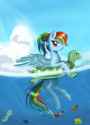 Dash turtle floatie swim