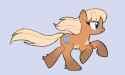 Gallop