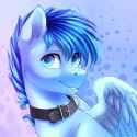 1811619__safe_artist-colon-hakaina_oc_oc-colon-happy+dream_oc+only_pegasus_pony_abstract+background_bust_collar_ear+fluff_looking+at+you_male_portrait_
