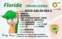 Morning Mimosa Driver&#039;s License_1746657355423