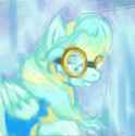 7213569