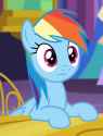 Dash sit what