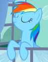Smug Dash in the window 3
