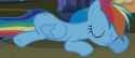 Dash Sleeping