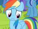 Dash-floppy-ears