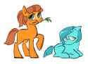 Pones