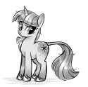 dailytwi4