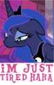 luna is just tired