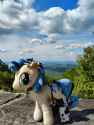 3341064__suggestive_derpibooru+import_oc_oc-colon-milky+way_earth+pony_pony_bra_clothes_cowprint_crotchboobs_crotchbra_image_jewelry_jpeg_nudity_photo_