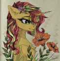 sunshim by jsunlight