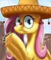 Flutterbrero