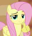 fluttersmug supports this