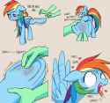 Dash hoof rubs
