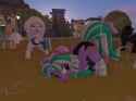 Snapshot_2025-05-13_043512_001
