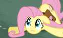 fluttershy doormat sex