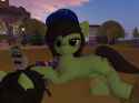Snapshot_2025-05-13_075546_001