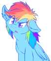 Dash confused horse