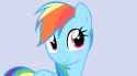 Dash Blushing