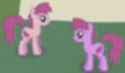 berrycloned