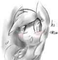 Dash hi anon