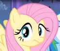 flutters