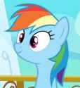 Dash is a cutie